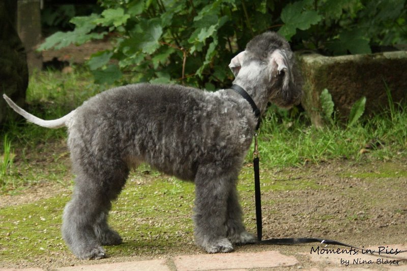 Antares 2009-08-01 & 02 (48).JPG